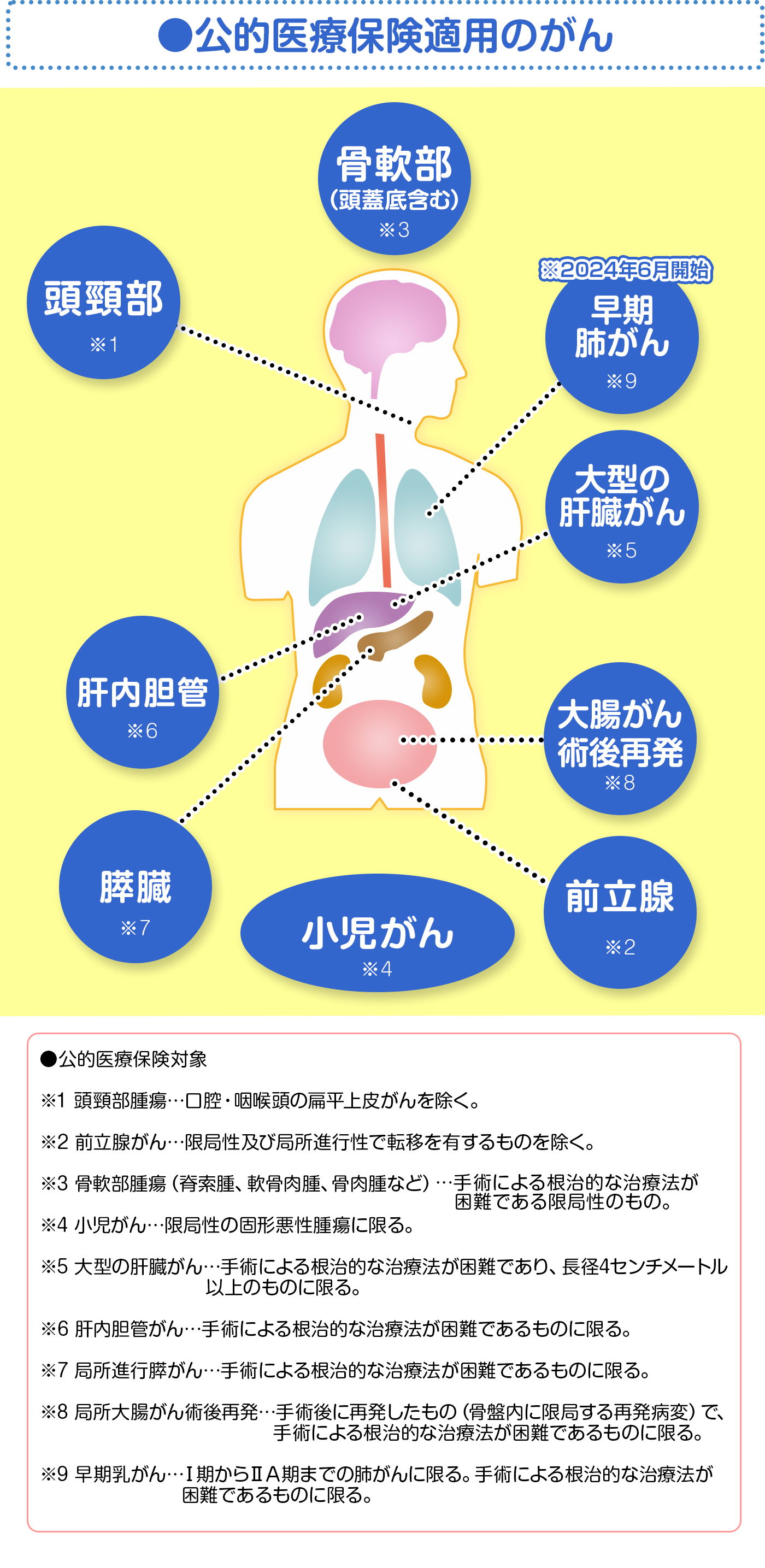 人体イラスト1