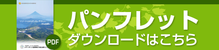 パンフレットのダウンロードはこちら