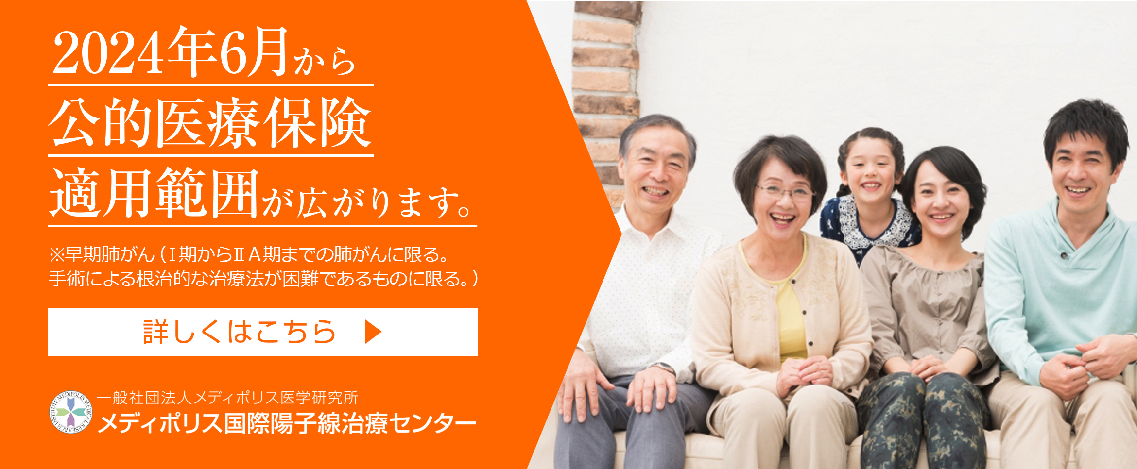 公的医療保険適用